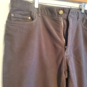 Ledbury moleskin pants